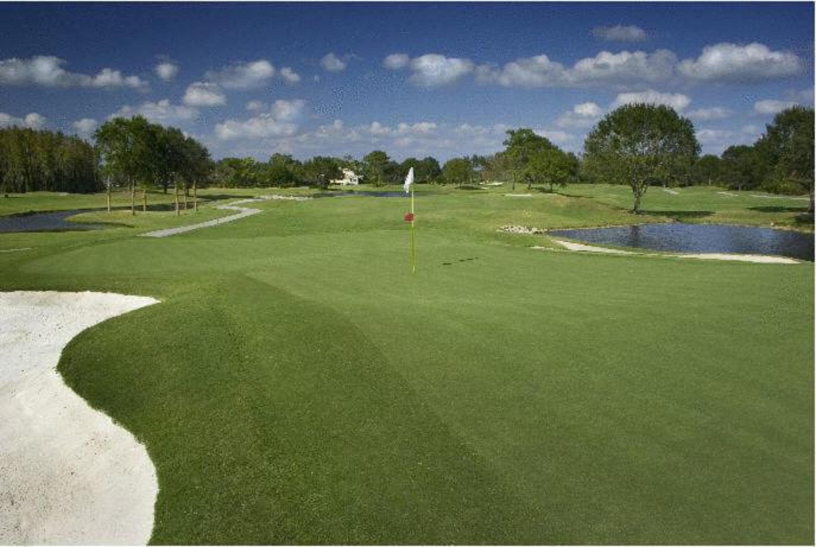 Saddlebrook Golf Resort & Spa Tampa North-Wesley Chapel Εξωτερικό φωτογραφία