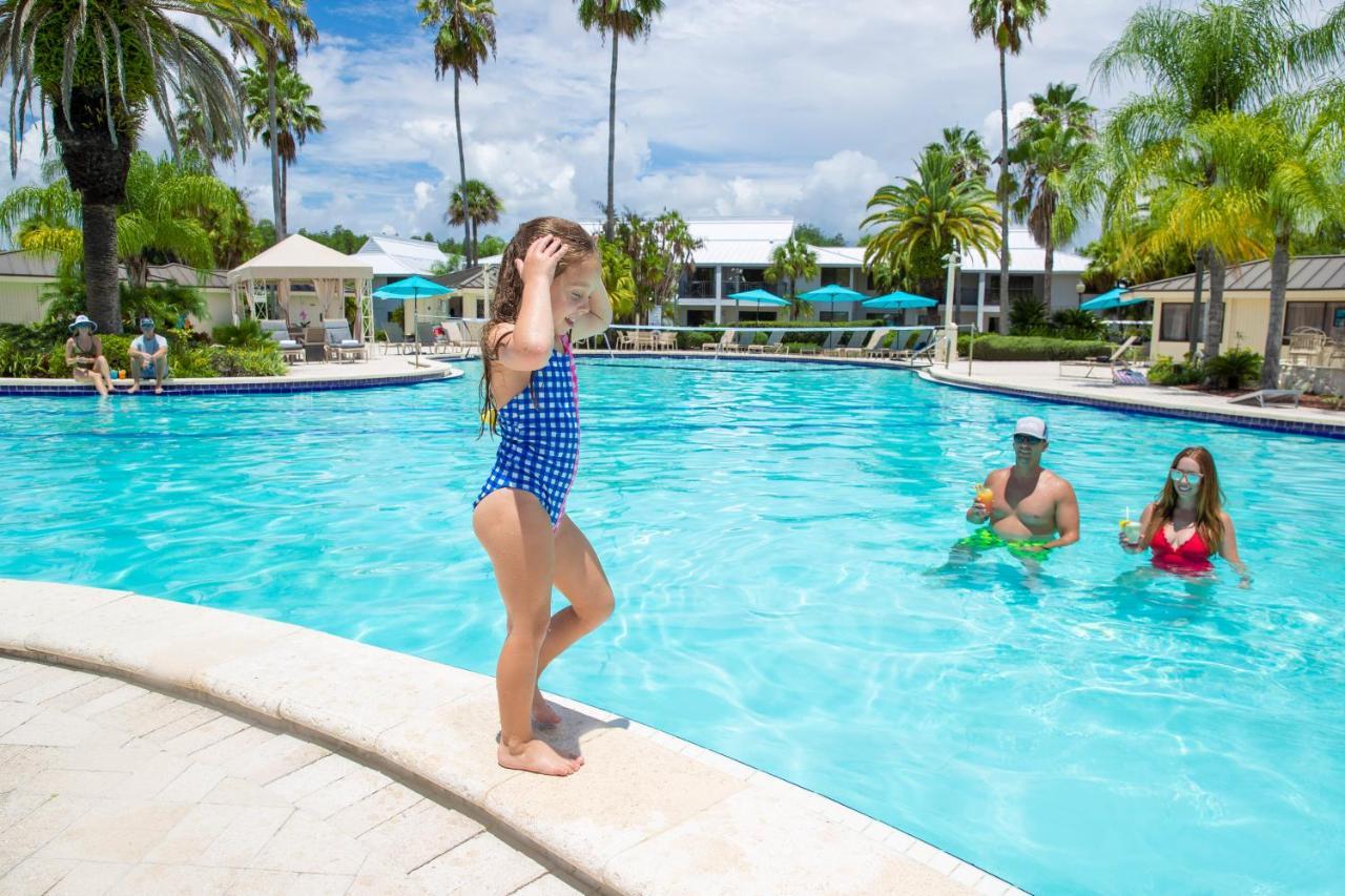 Saddlebrook Golf Resort & Spa Tampa North-Wesley Chapel Εξωτερικό φωτογραφία