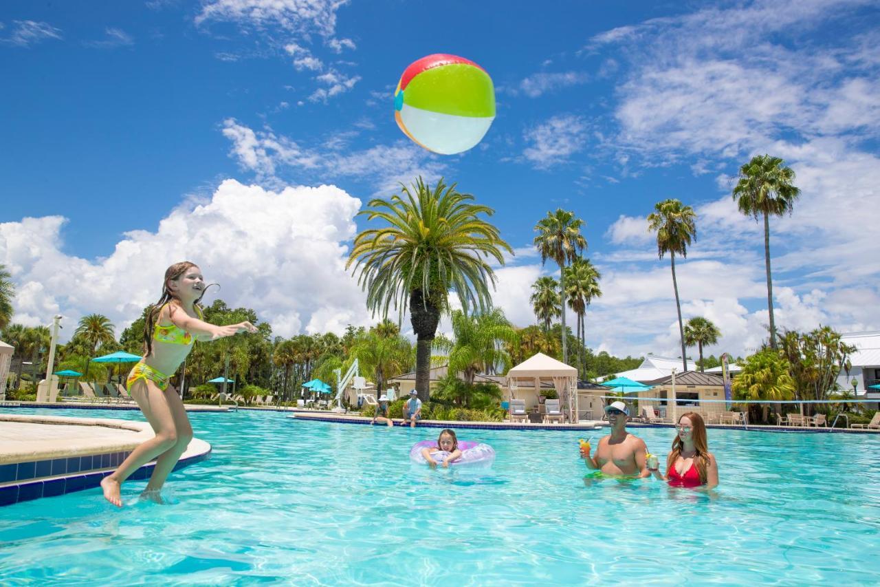 Saddlebrook Golf Resort & Spa Tampa North-Wesley Chapel Εξωτερικό φωτογραφία