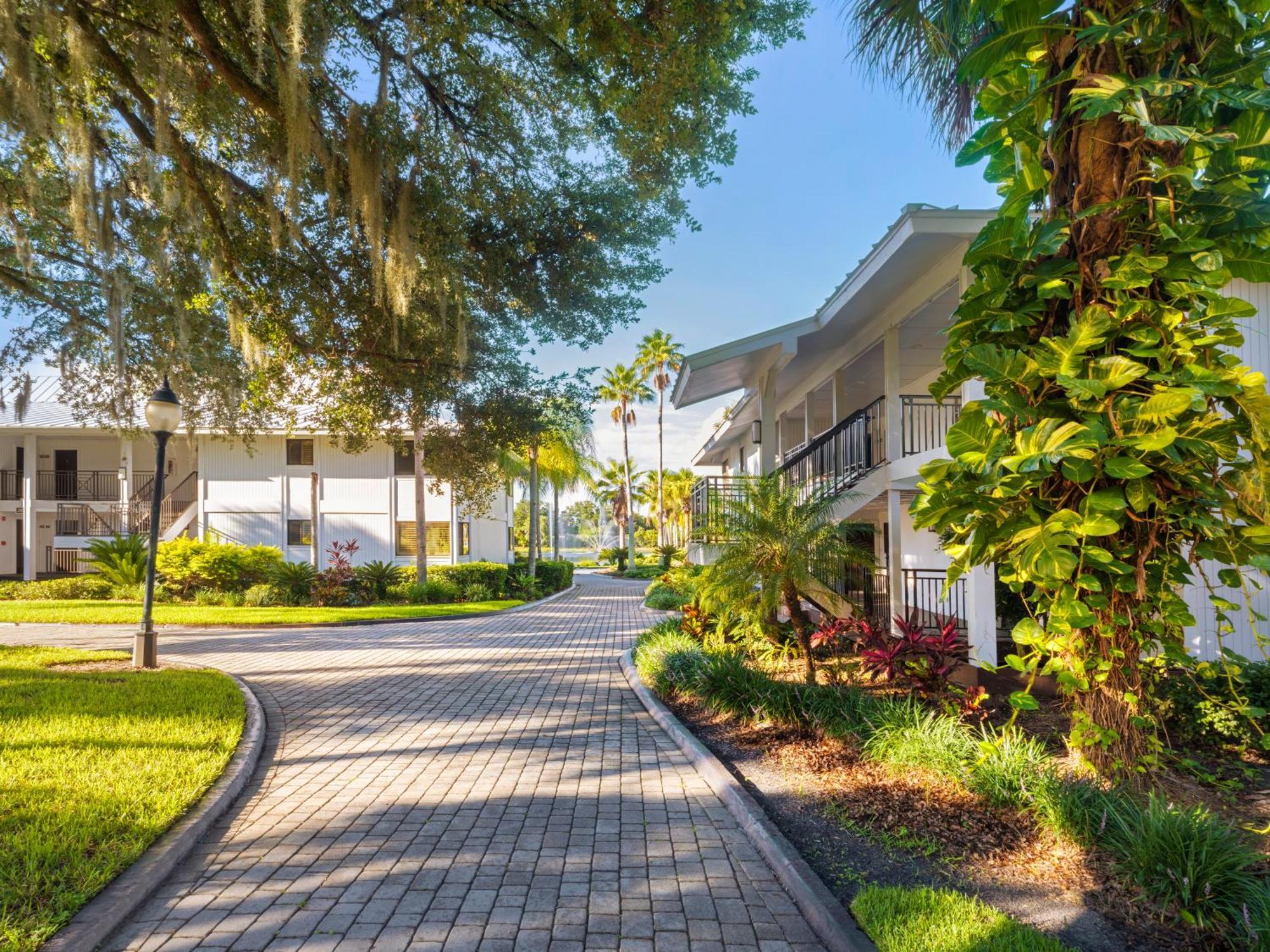 Saddlebrook Golf Resort & Spa Tampa North-Wesley Chapel Εξωτερικό φωτογραφία