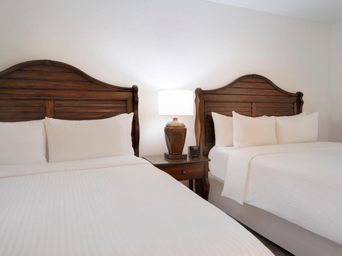Saddlebrook Golf Resort & Spa Tampa North-Wesley Chapel Εξωτερικό φωτογραφία