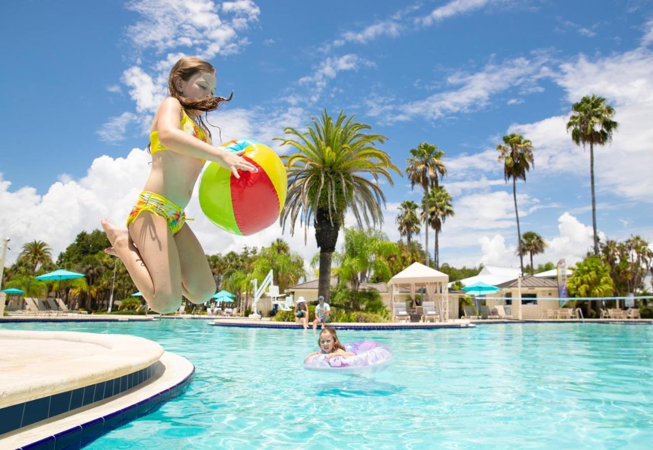 Saddlebrook Golf Resort & Spa Tampa North-Wesley Chapel Εξωτερικό φωτογραφία