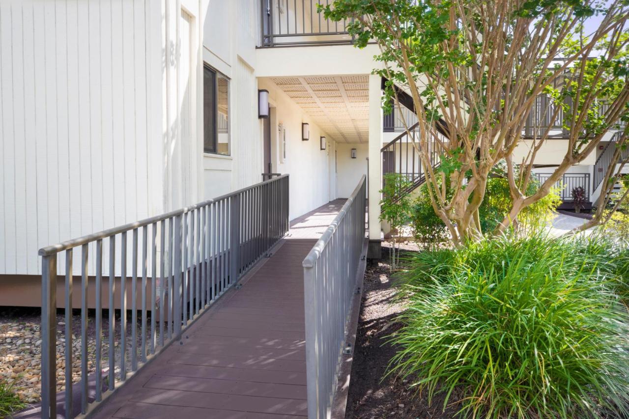 Saddlebrook Golf Resort & Spa Tampa North-Wesley Chapel Εξωτερικό φωτογραφία